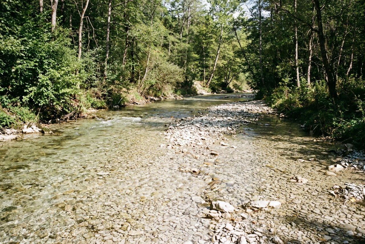 Two in the afternoon: a shallow river running over pale gravel between wooded banks, high sun, water very clear